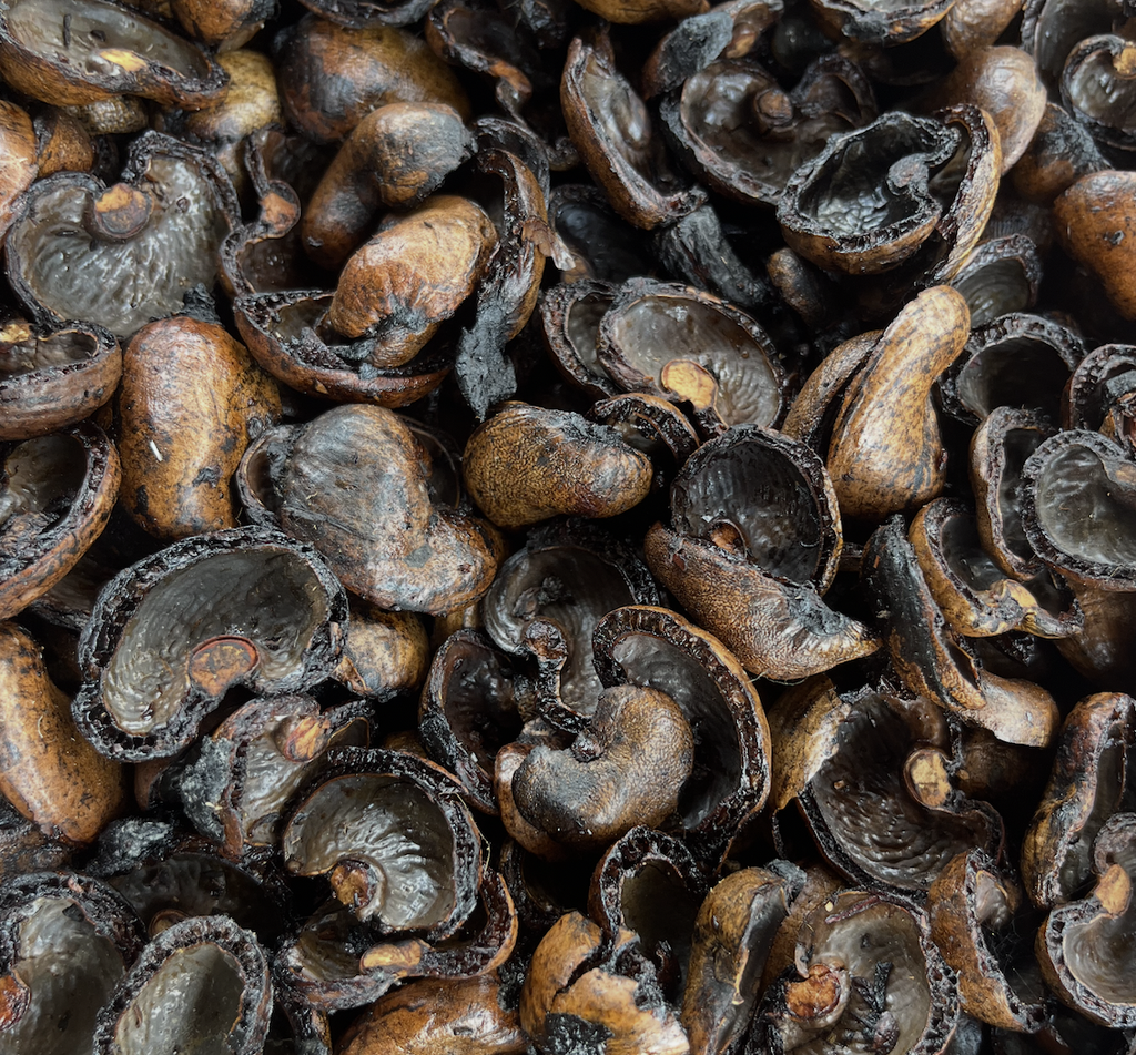 Cashew Nut Shell